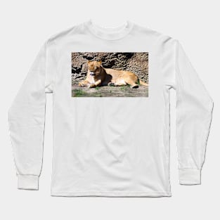 Lion Long Sleeve T-Shirt